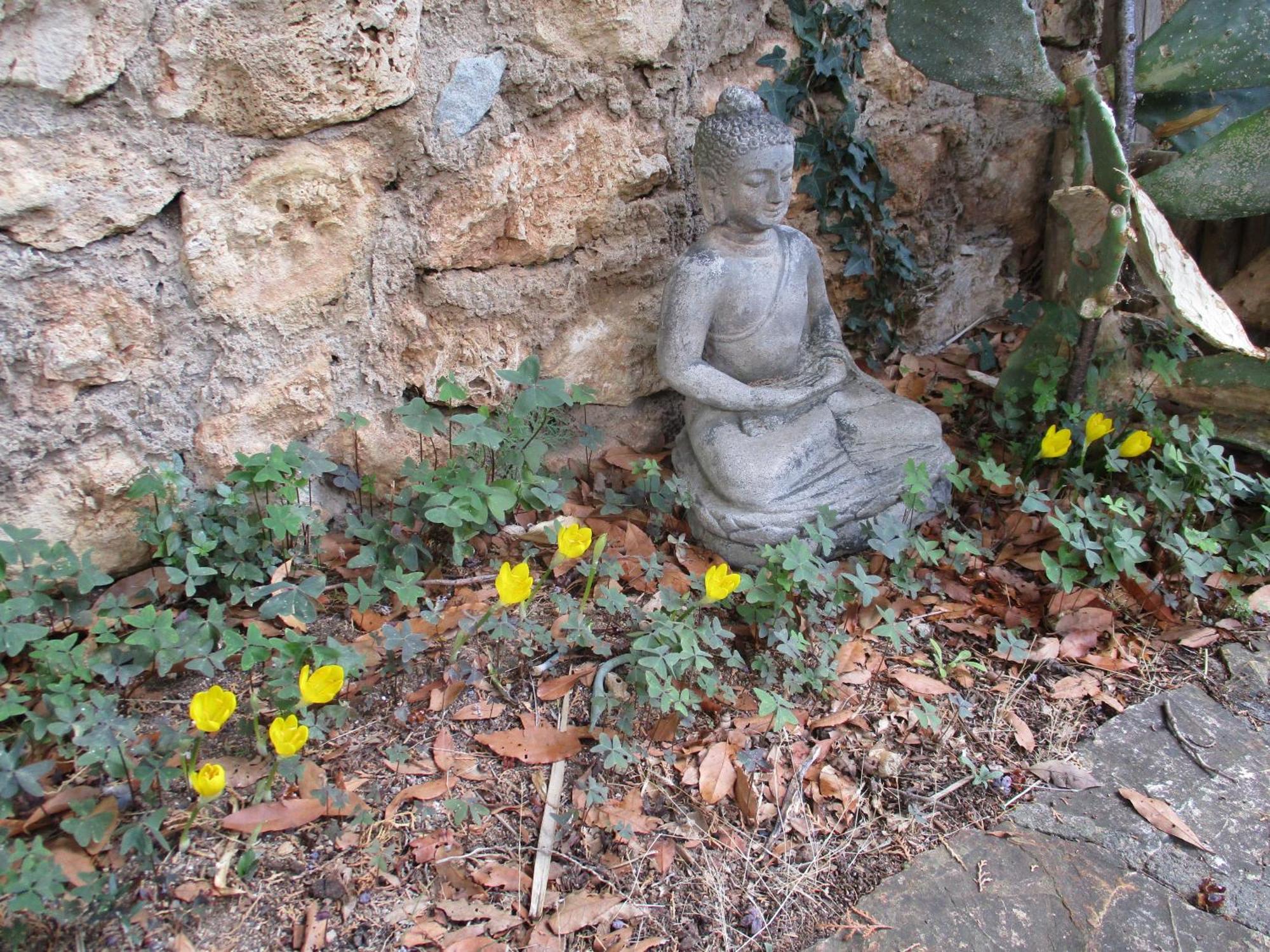 Casa Alle Coste Camere In Affitto Massa Marittima Bagian luar foto